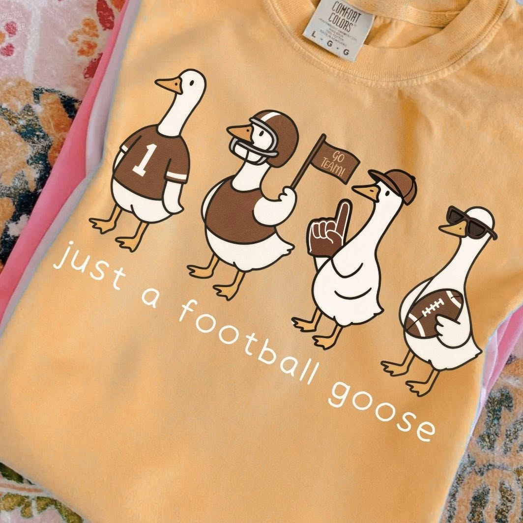 Just a Football Goose