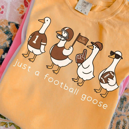 Just a Football Goose