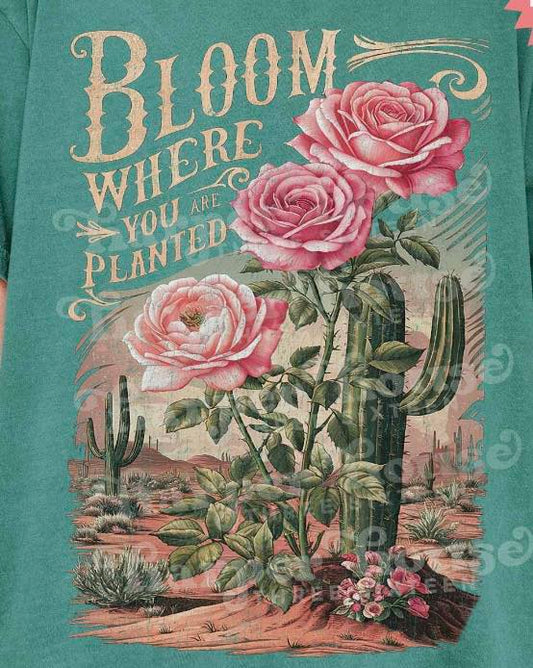 Bloom Where you are Planted