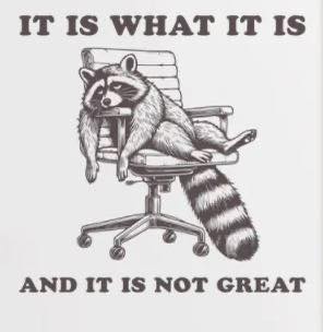 It Is What It Is & It's Not Great SALE