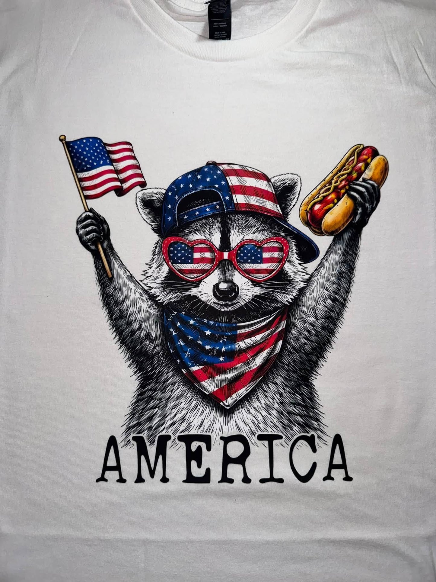 America Racoon