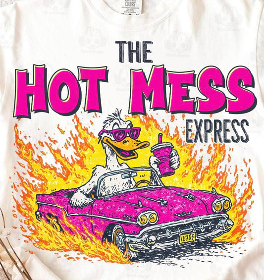 The Hot Mess Express Goose