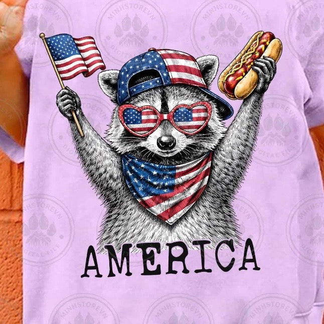 America Racoon
