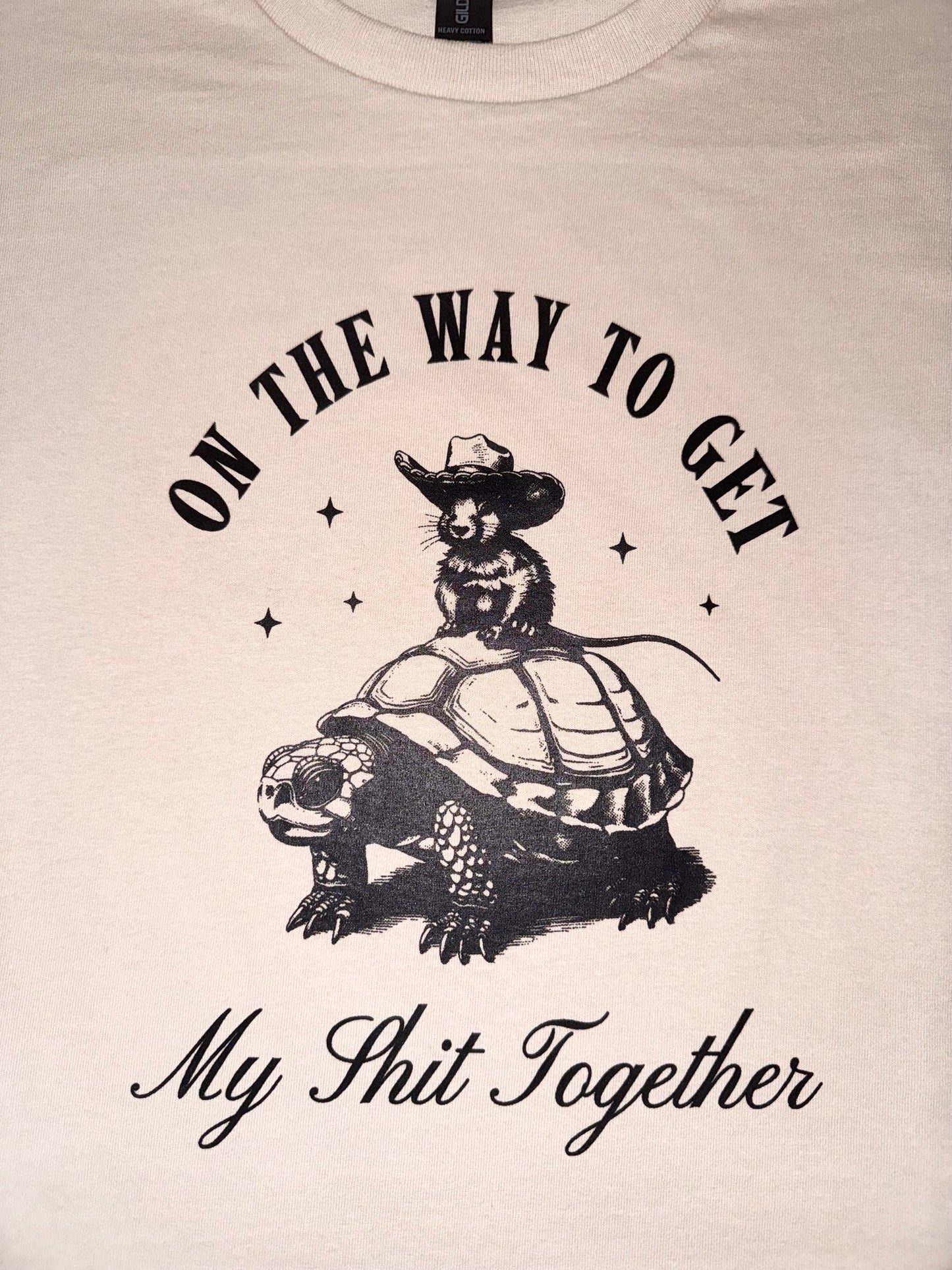 Turtle on the way SALE