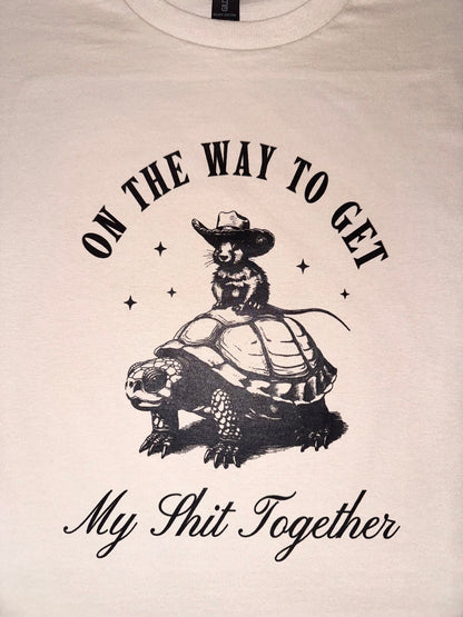 Turtle on the way SALE